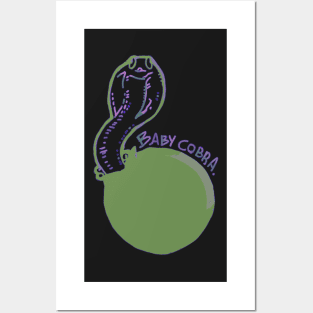 Baby cobra Posters and Art